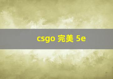 csgo 完美 5e